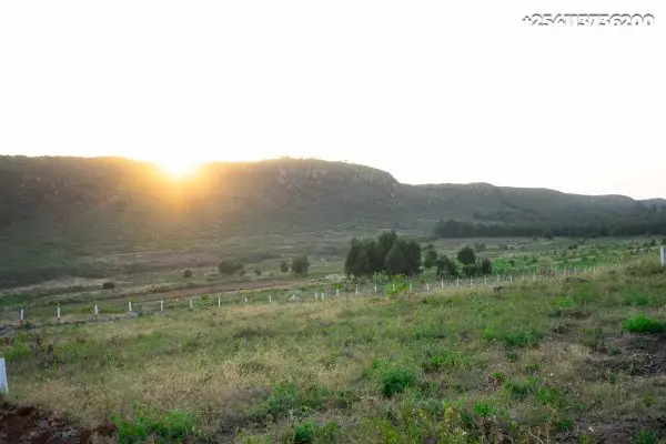 1/8th Acre Plots in Gated Estate, Ndiguini – Kamangu