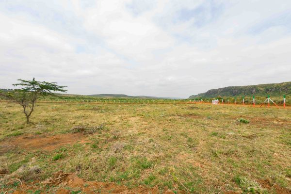 West View Gardens Estate Phase I in Nachu – Kikuyu