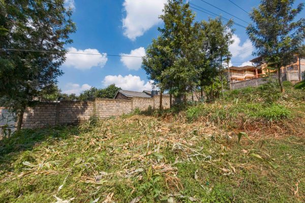 50 by 160 ft Plot in Kidfarmaco Estate – Kikuyu